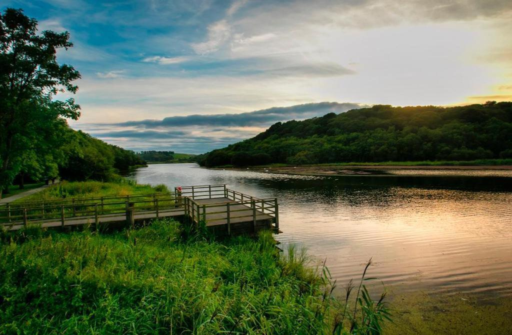 ホテル Dunleath House ダウンパトリック エクステリア 写真